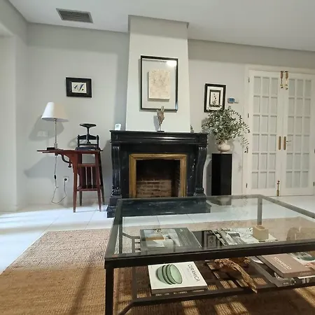 Casa Aguila Casco Antiguo Patio Privado