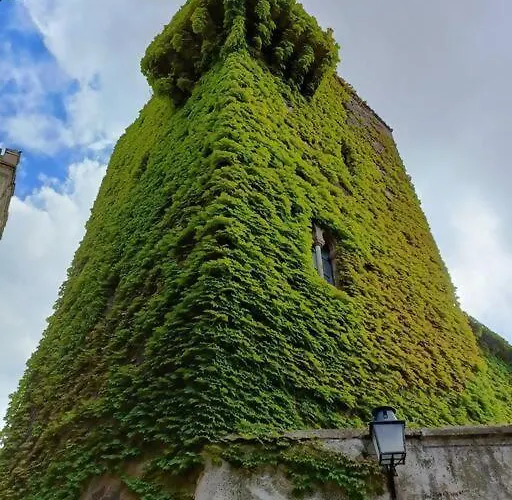 Appartamento Casa Aguila Casco Antiguo Patio Privado Caces